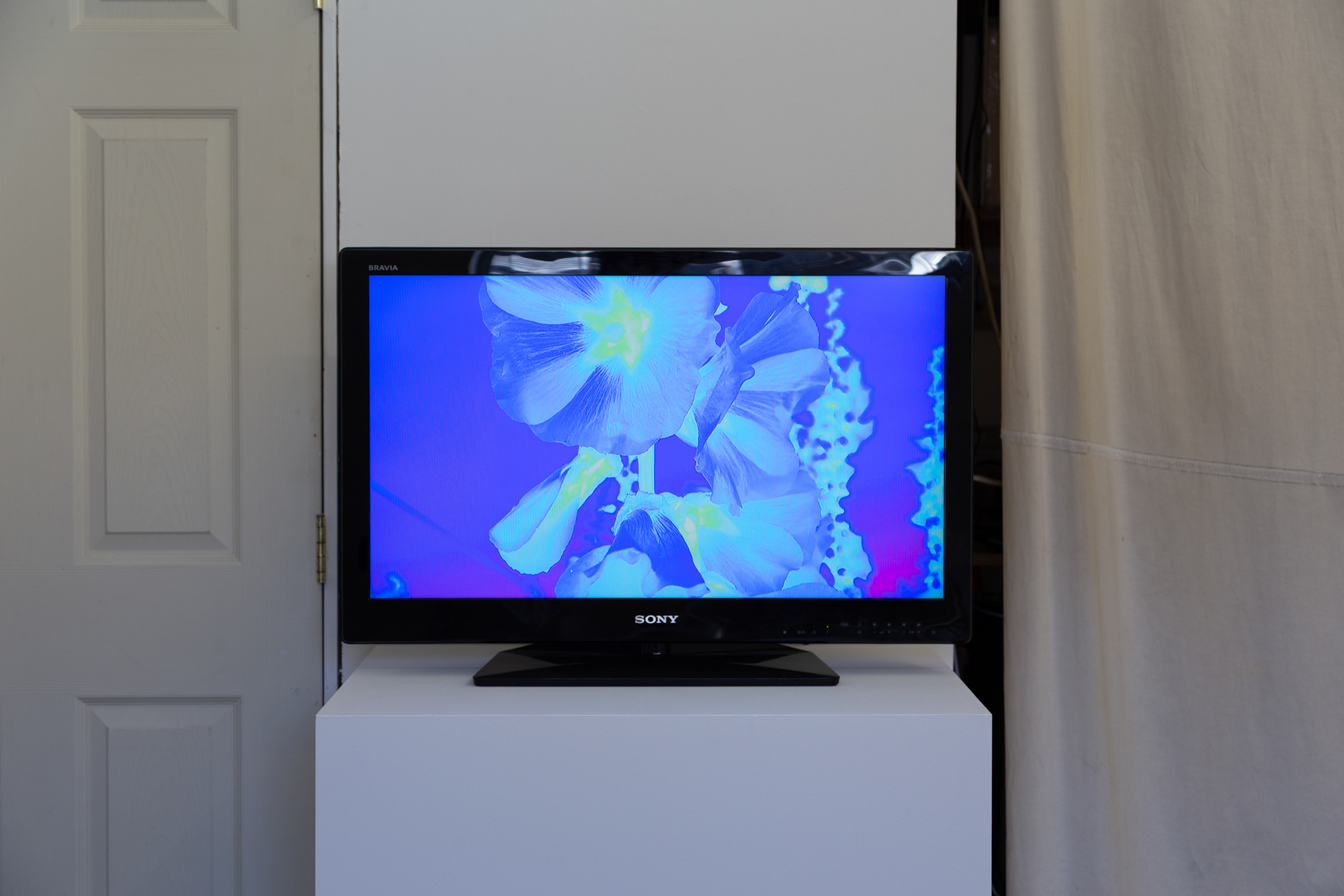 ArtAndEcology.WhatPipeline